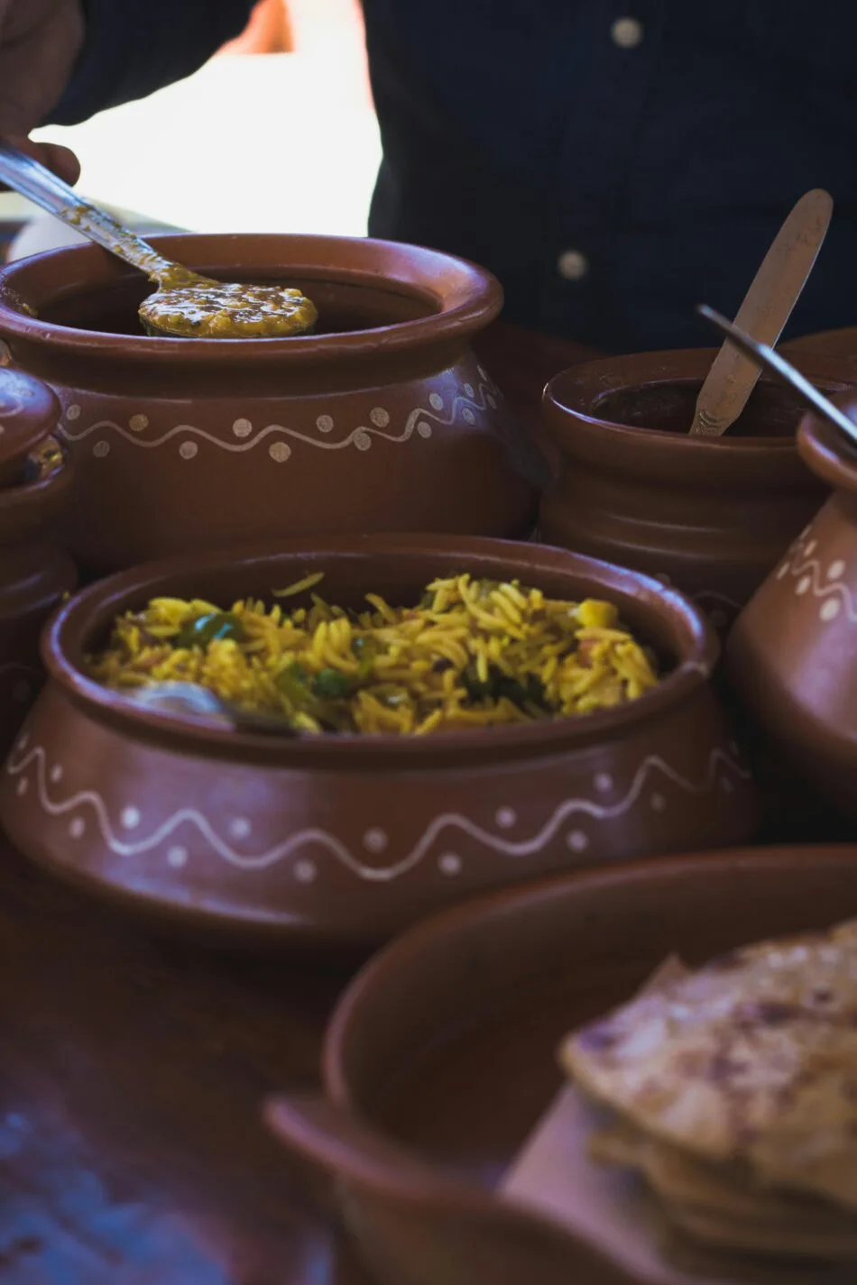 Best indian restaurant in Edmonton
